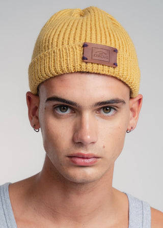 Sunflower Yellow