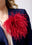 Cabernet Rood