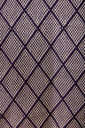 Purple / Navy Blue