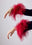 Cabernet Rood